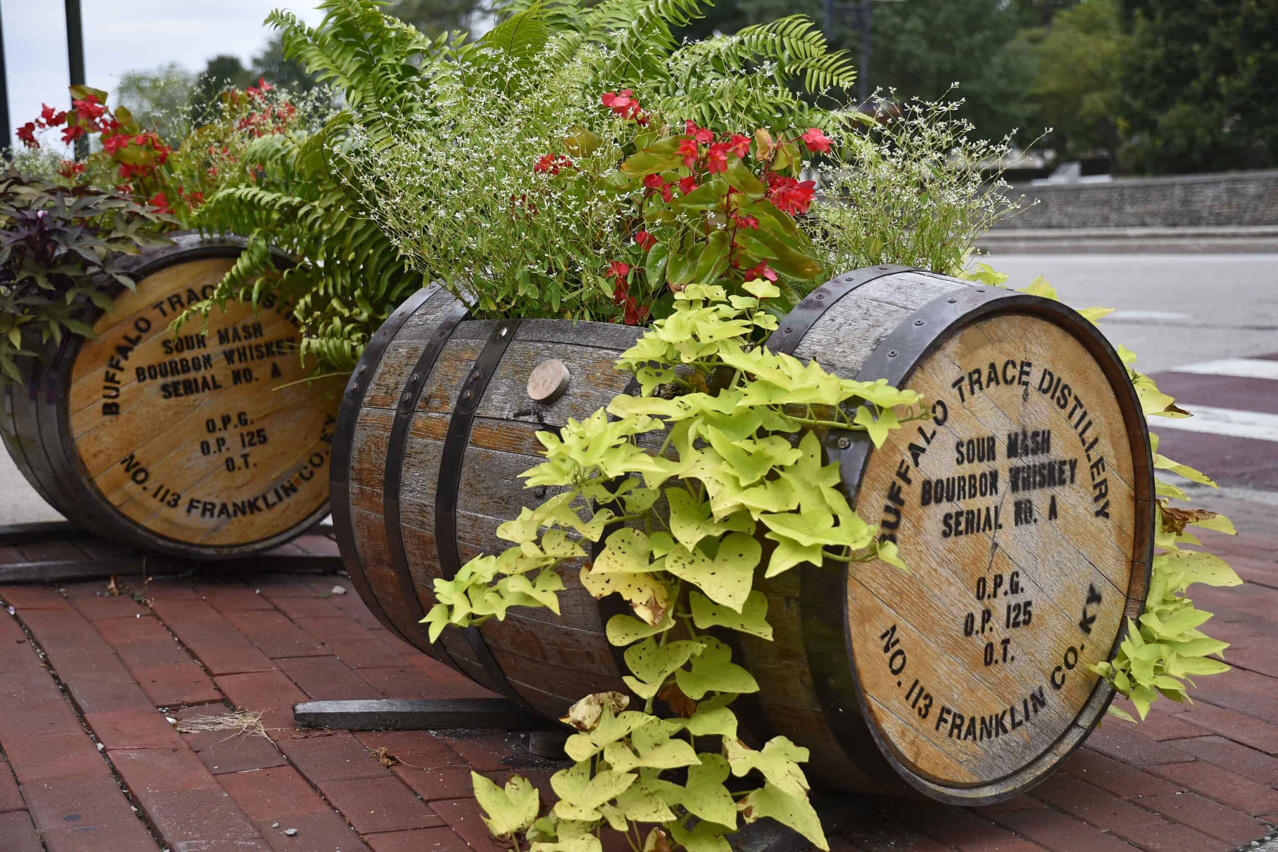 The barrels from Buffalo Trace are the perfect decorations for downtown Frankfort, Kentucky.