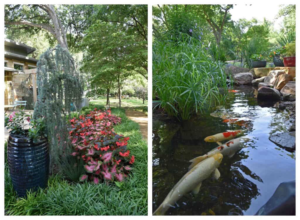 A walk through the botanical gardens offers a tranquil way to start the day.