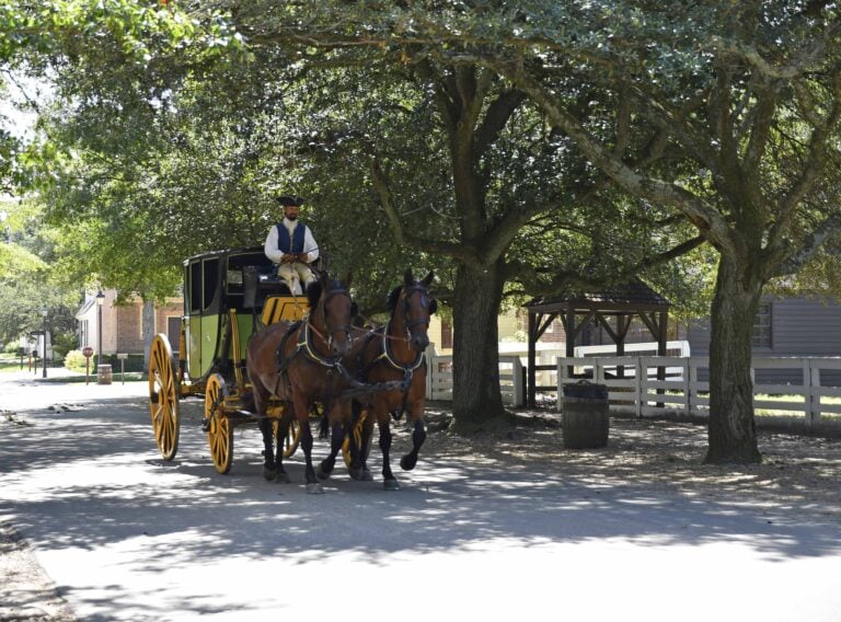 Visitors to Colonial Williamsburg can enjoy carriage rides.