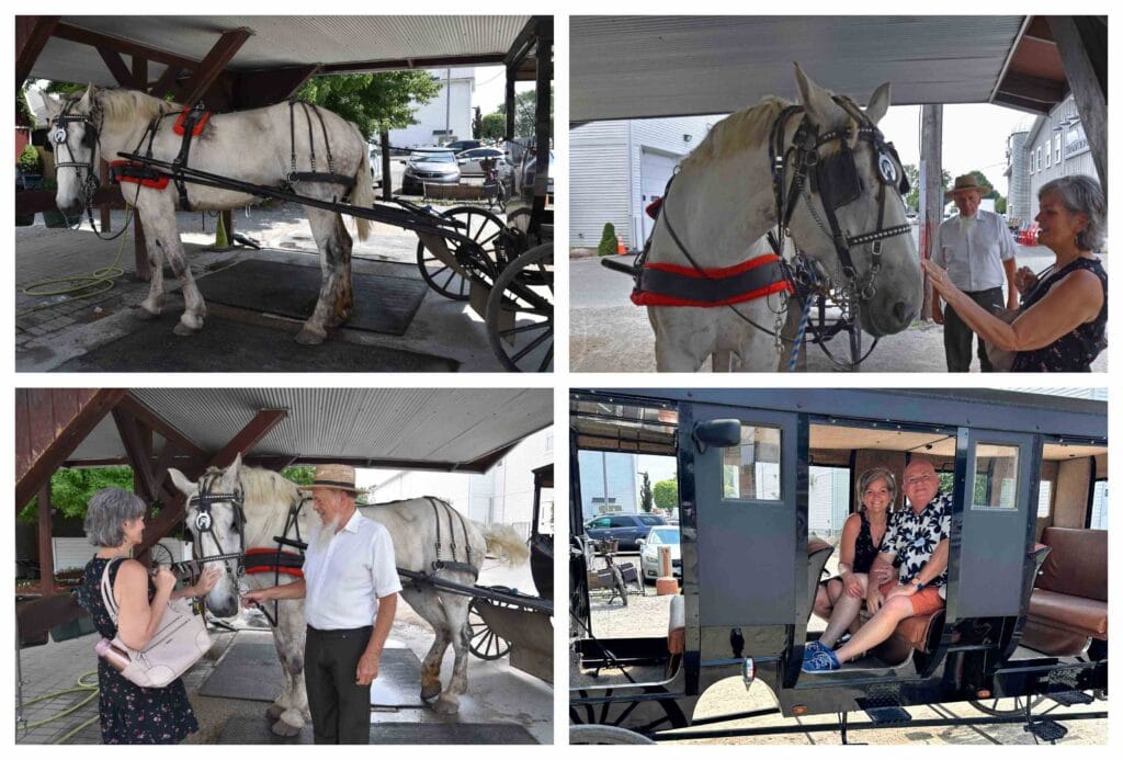 Our ride with Buggy Lane Tours helped us slow down and enjoy the pace of life in Shipshewana.