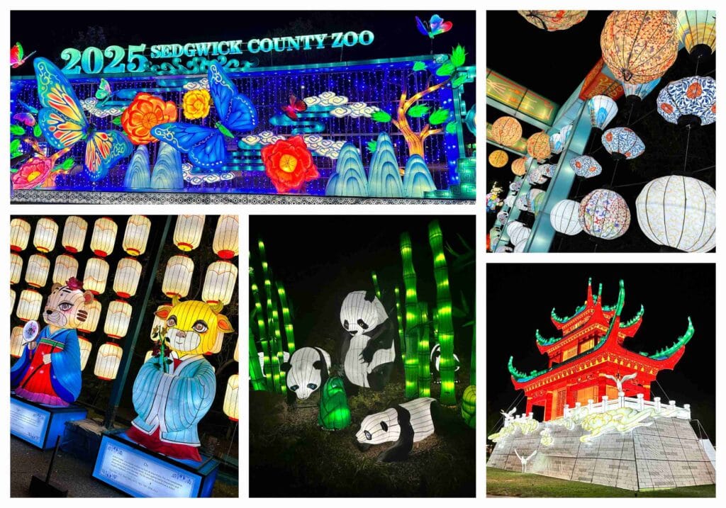 We were treated to a sneak preview of the Glow Wild exhibit.