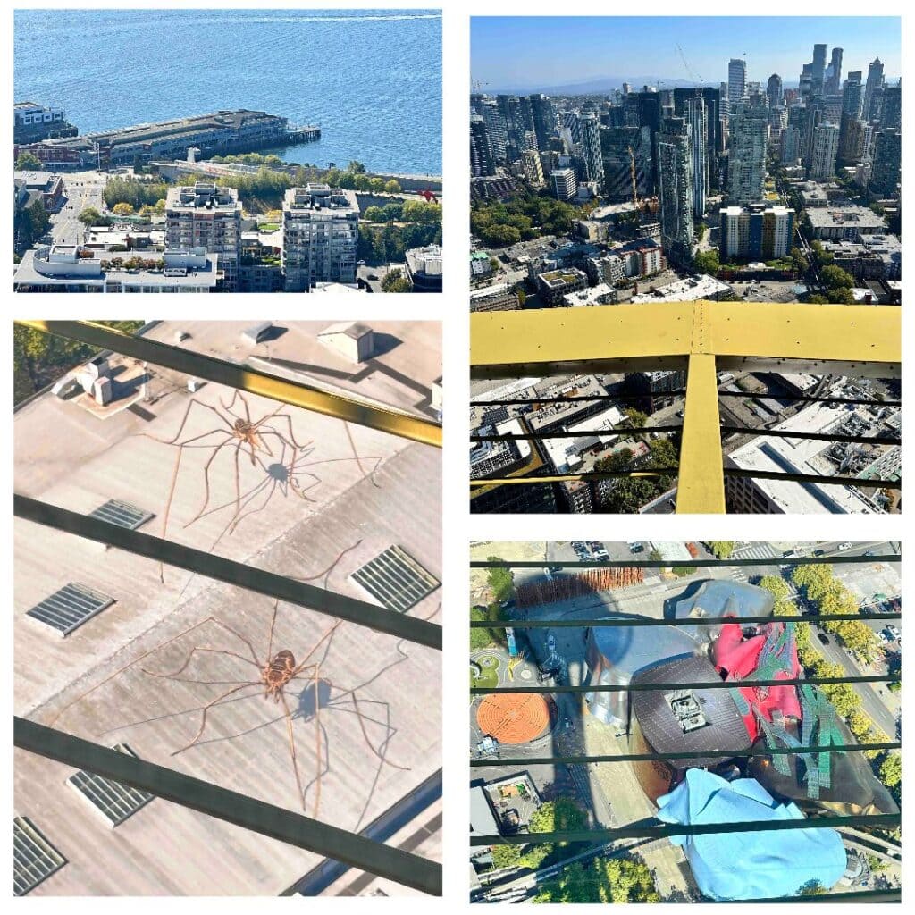The views from above are some of the best reasons to plan on visiting the Space Needle.