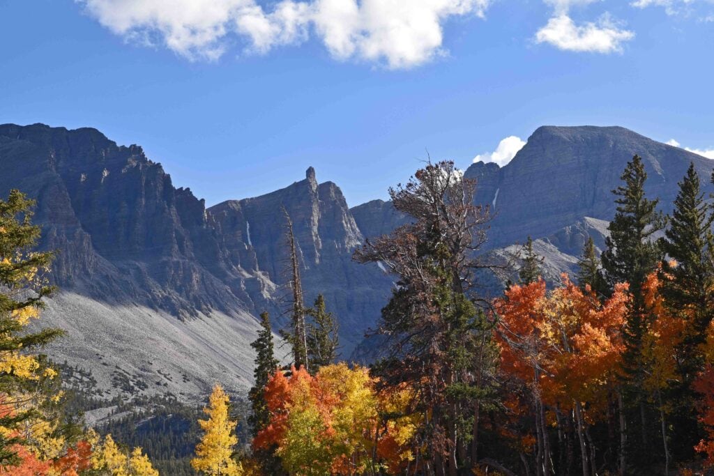 Wheeler Peak, in Great Basin National Park, sits adorned with fall colors.