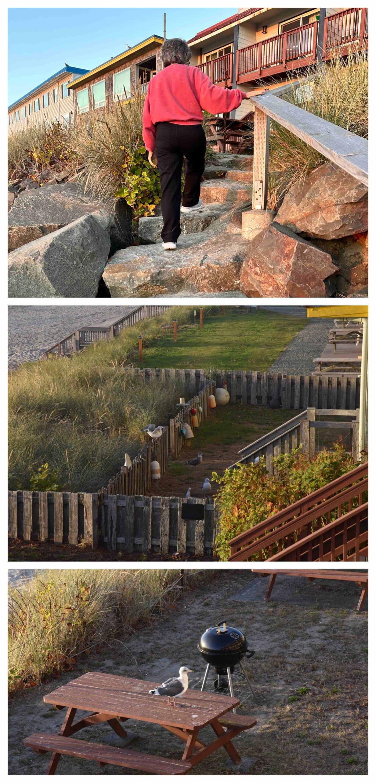 A stay at Tradewinds Motel offered amusing views of seagulls along the seashore.