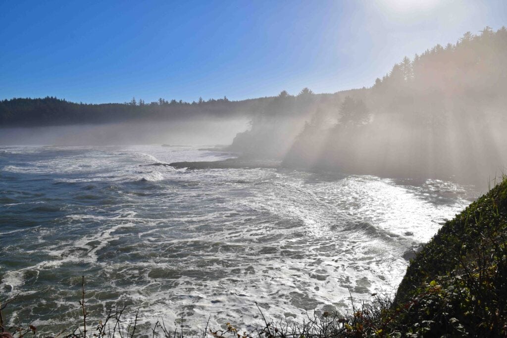 A misty morning greeted us at Boiler Bay.