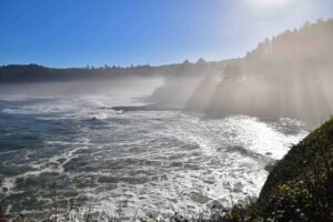 A misty morning greeted us at Boiler Bay.