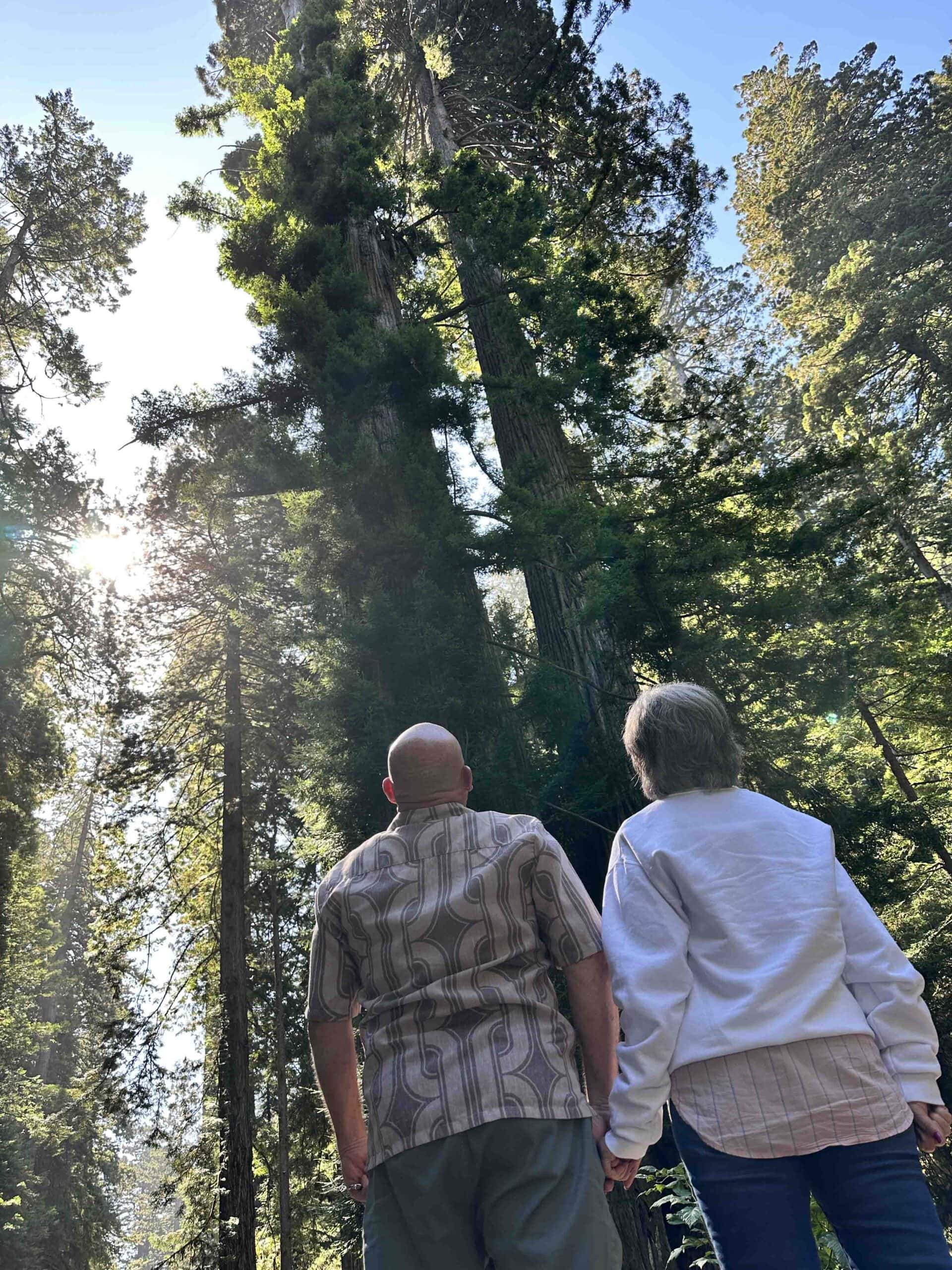 The authors pose beneath the towering giants inside Redwood National and State Parks.