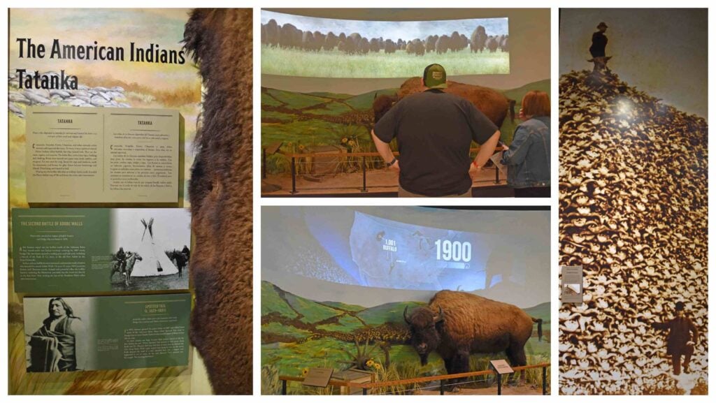 Exhibits at Boot Hill Museum show the importance of bison and the drive to eliminate them.