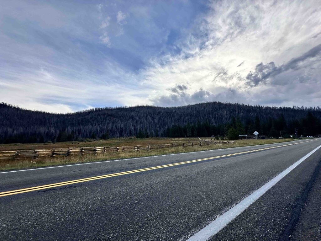 Seeing miles of dead or scorched trees brought the reality of forest life cycles to mind.