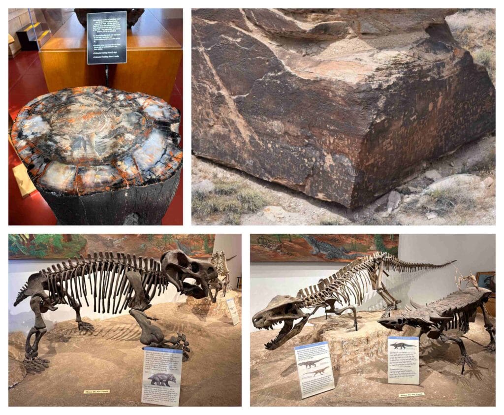 At the Rainbow Museum, we learned more about the Painted Desert and the Petrified Forest.